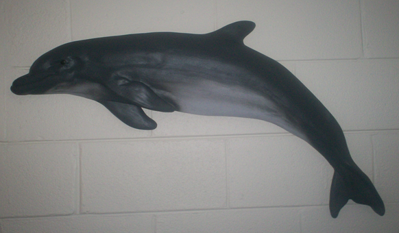 Dolphin Plaque